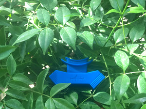 Increase Your Lung Power!