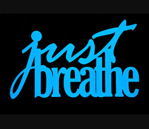 The Bas Rutten O2 Lung Trainer- Devin Castille Review